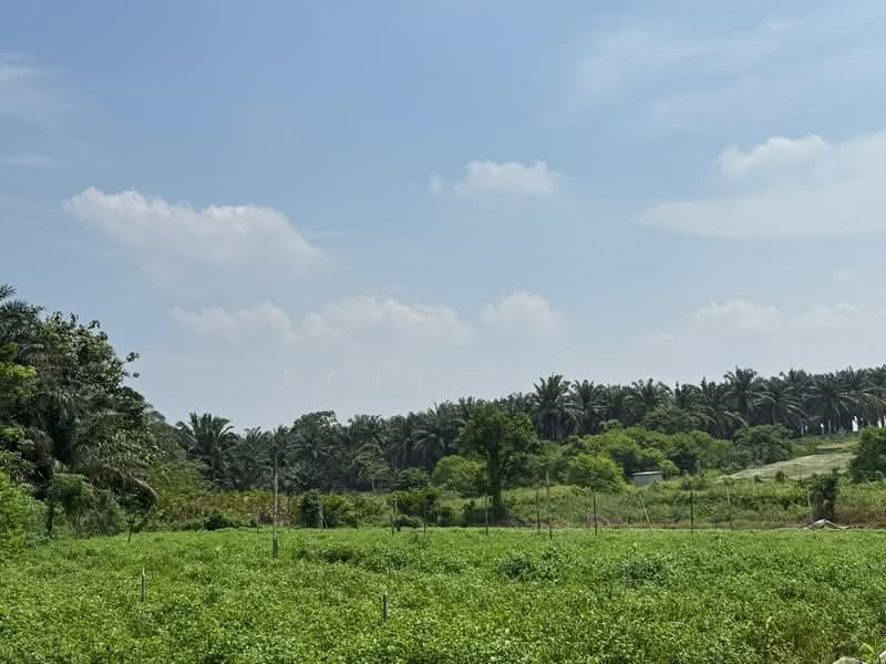 Agricultural Land for Sale in Taman Desa Cemerlang (Ulu Tiram) - Ryon Teh - Garden - PropertyGuru.com.my