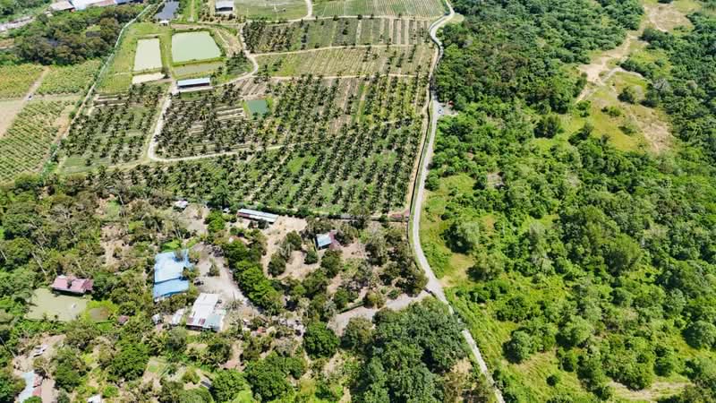 Tanah Pertanian untuk Dijual di Semenyih (Selangor) - Mohammad Din Majid - PropertyGuru.com.my