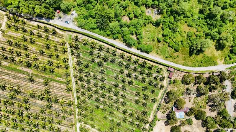 Tanah Pertanian untuk Dijual di Semenyih (Selangor) - Mohammad Din Majid - PropertyGuru.com.my