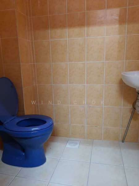 2-storey Terraced House for Sale in Taman Setia Indah (Tebrau) - Wind Chok - Bathroom - PropertyGuru.com.my