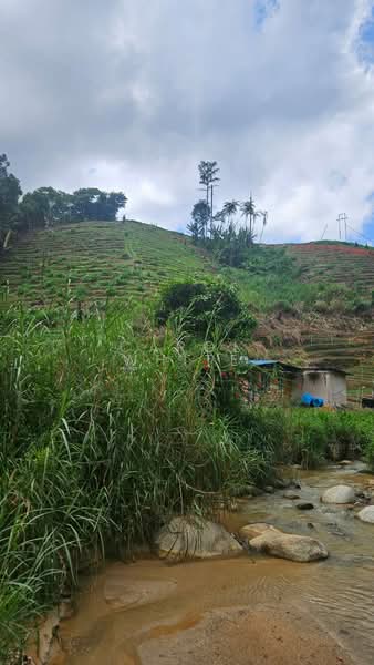 Agricultural Land for Sale in Cameron Highlands (Pahang) - Carol White - Exterior - PropertyGuru.com.my