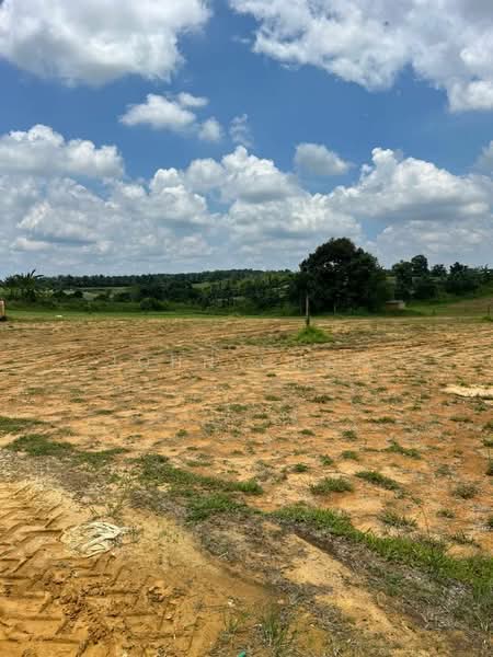 Agricultural Land for Sale in Kampung Baru Seelong (Senai) - John Choo - Exterior - PropertyGuru.com.my
