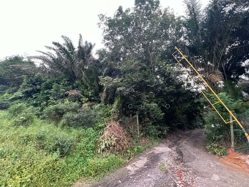 Agricultural Land for Sale in Kampung Baru Ban Foo (Ulu Tiram) - John Choo - Exterior - PropertyGuru.com.my
