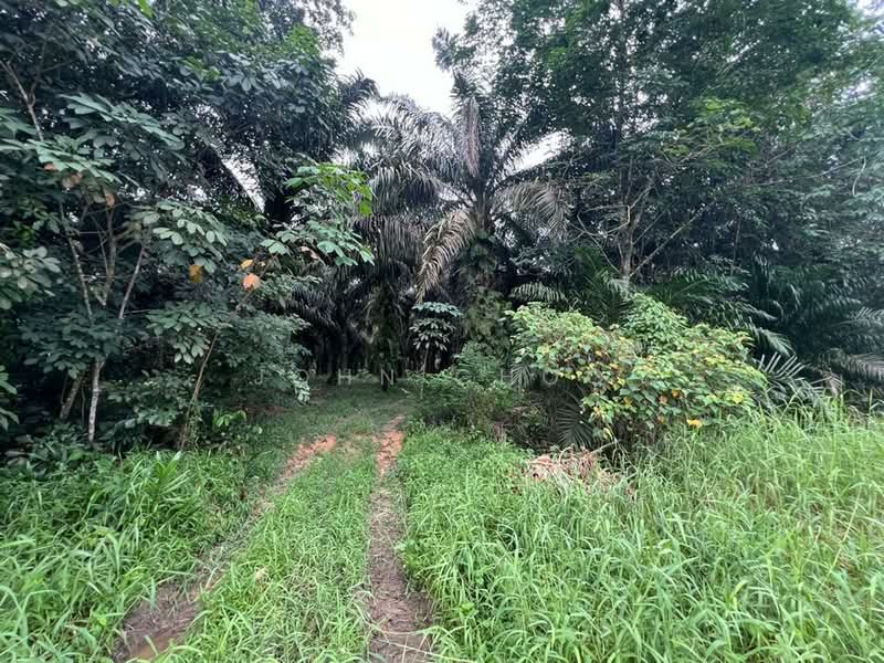 Agricultural Land for Sale in Kampung Baru Ban Foo (Ulu Tiram) - John Choo - Garden - PropertyGuru.com.my