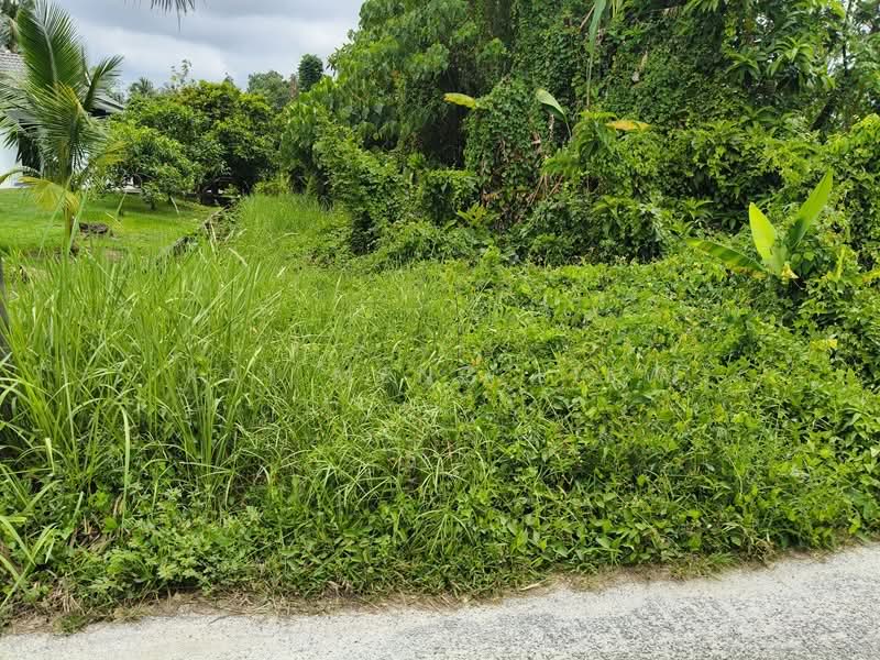 Agricultural Land for Sale in Balik Pulau (Penang) - Kai Meng Liew - Exterior - PropertyGuru.com.my