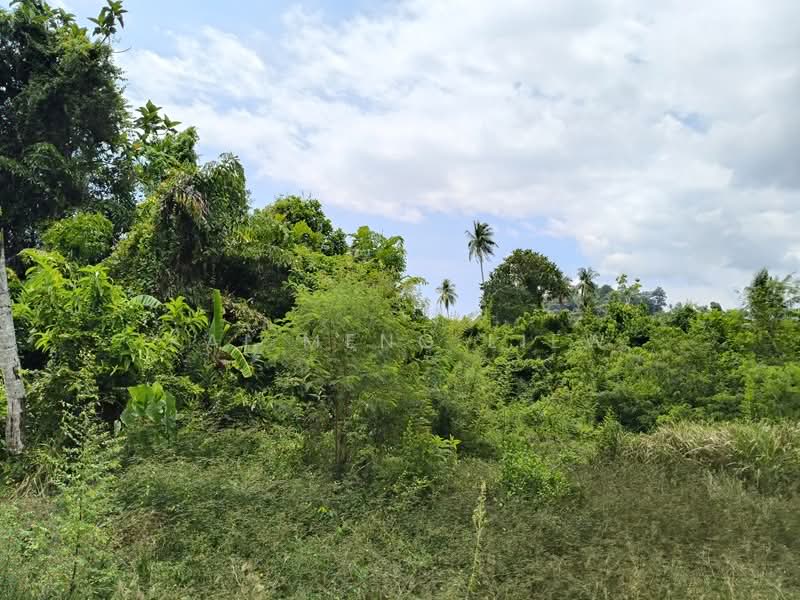 Agricultural Land for Sale in Balik Pulau (Penang) - Kai Meng Liew - Exterior - PropertyGuru.com.my