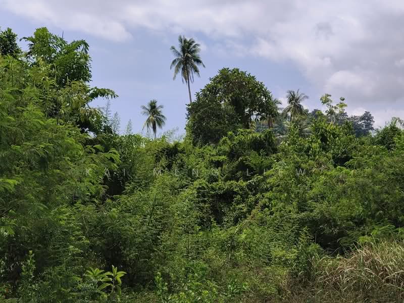 Agricultural Land for Sale in Balik Pulau (Penang) - Kai Meng Liew - Exterior - PropertyGuru.com.my