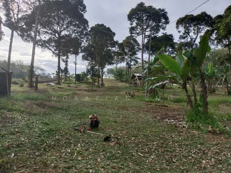 Agricultural Land for Sale in Segamat (Johor) - Norafian SMH - Exterior - PropertyGuru.com.my