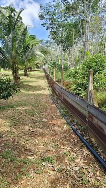 Agricultural Land for Sale in Segamat (Johor) - Norafian SMH - Exterior - PropertyGuru.com.my