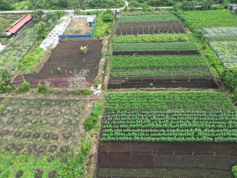 Agricultural Land for Sale in Klang (Selangor) - Mohammad Din Majid - PropertyGuru.com.my