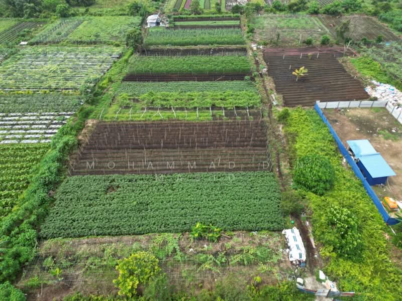 Agricultural Land for Sale in Klang (Selangor) - Mohammad Din Majid - PropertyGuru.com.my