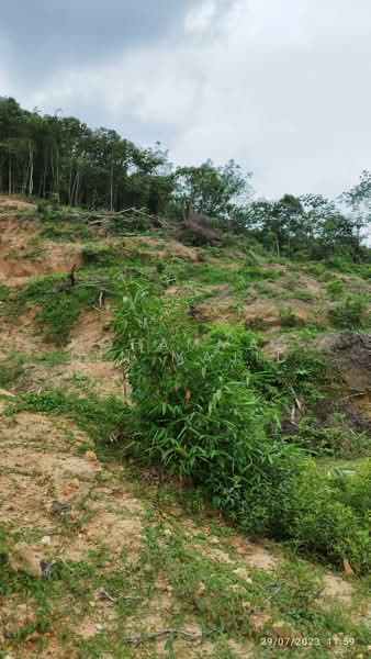 Tanah Pertanian untuk Dijual di Hulu Langat (Selangor) - Mohammad Din Majid - PropertyGuru.com.my