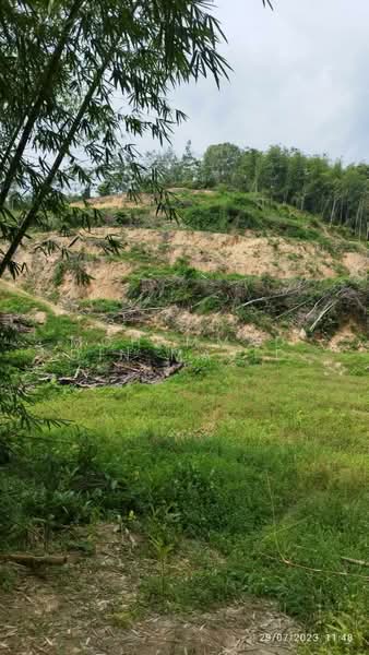 Tanah Pertanian untuk Dijual di Hulu Langat (Selangor) - Mohammad Din Majid - PropertyGuru.com.my