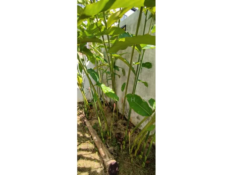 Semi-Detached House for Sale in Kajang (Selangor) - Azira Ahmad - Garden - PropertyGuru.com.my