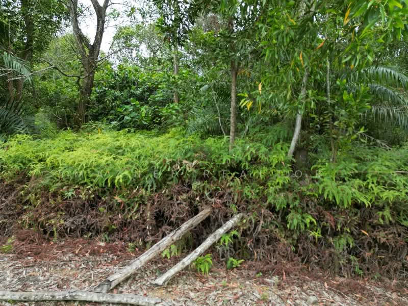 Residential Land for Sale in Dengkil (Selangor) - Maznee Realtor - Exterior - PropertyGuru.com.my