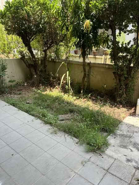 Rumah Teres 3.5 Tingkat untuk Disewa di Kampung Paya (Butterworth) - Jessie Lee - PropertyGuru.com.my