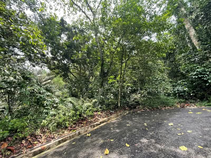 Agricultural Land for Sale in Kampung Sungai Penchala (Sungai Penchala) - Norhuda Ab Rahman - Exterior - PropertyGuru.com.my
