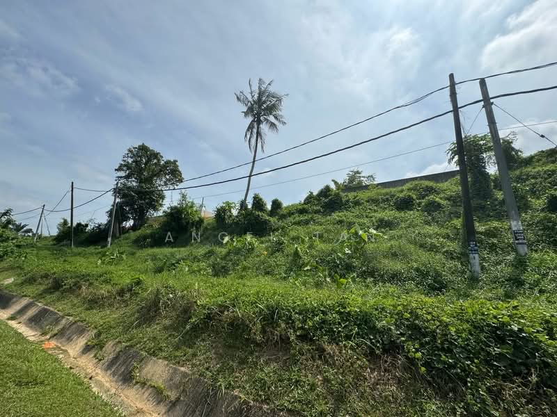 Industrial Land for Sale in Kota Tinggi (Johor) - Angel Tan - Exterior - PropertyGuru.com.my