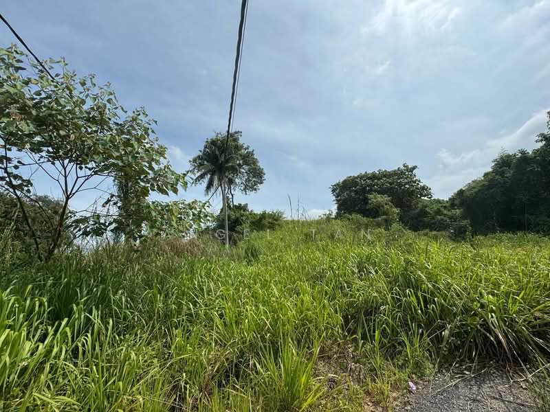 Industrial Land for Sale in Kota Tinggi (Johor) - Angel Tan - Exterior - PropertyGuru.com.my