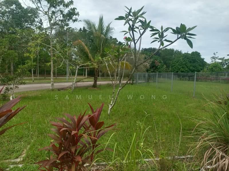 Semi-Detached House for Sale in East Ledang (Iskandar Puteri (Nusajaya)) - Samuel Wong - Garden - PropertyGuru.com.my