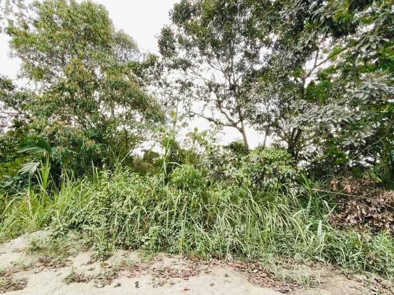 Tanah Pertanian untuk Dijual di FELDA Sungai Tiram (Ulu Tiram) - Alvin Kok - PropertyGuru.com.my
