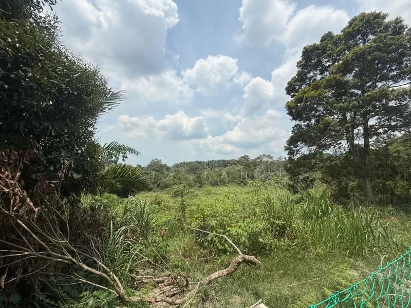 Tanah Pertanian untuk Dijual di FELDA Sungai Tiram (Ulu Tiram) - Alvin Kok - PropertyGuru.com.my