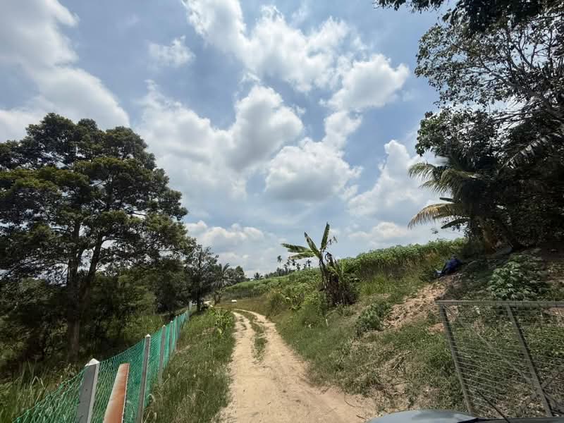 Tanah Pertanian untuk Dijual di FELDA Sungai Tiram (Ulu Tiram) - Alvin Kok - PropertyGuru.com.my