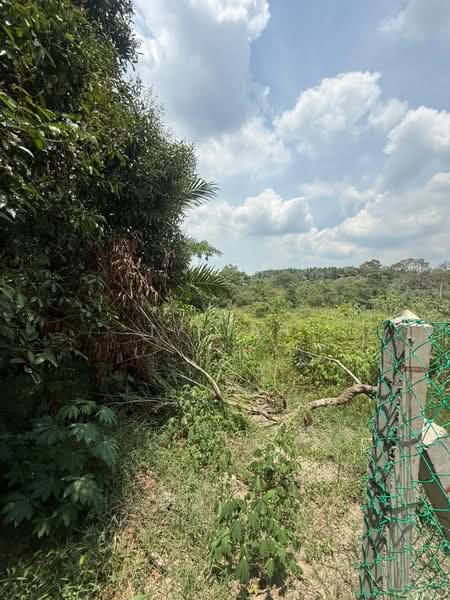 Tanah Pertanian untuk Dijual di FELDA Sungai Tiram (Ulu Tiram) - Alvin Kok - PropertyGuru.com.my