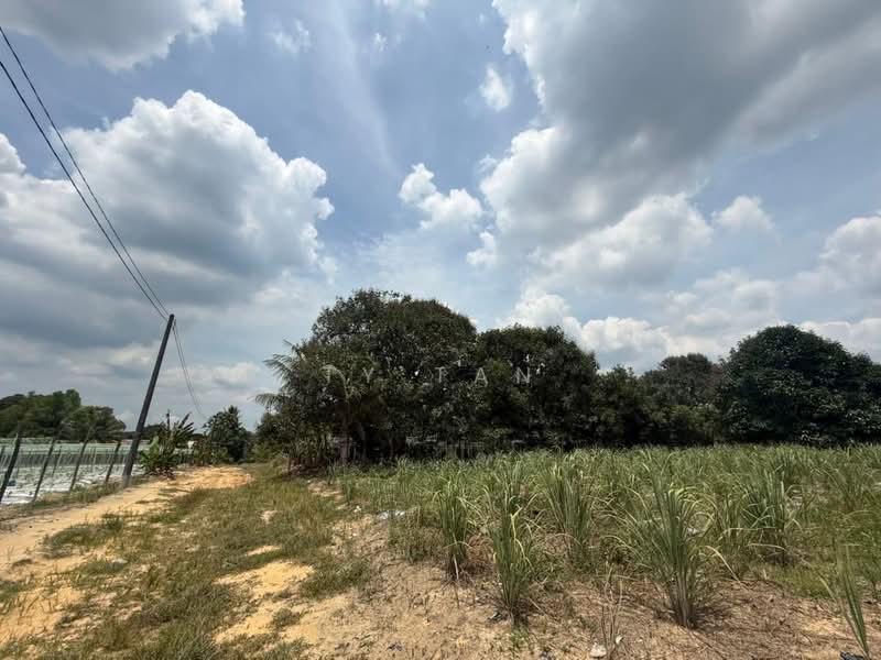 Tanah Pertanian untuk Dijual di FELDA Sungai Tiram (Ulu Tiram) - Alvin Kok - PropertyGuru.com.my
