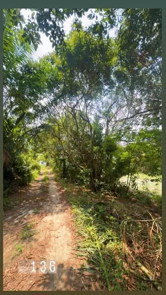 Tanah Pertanian untuk Dijual di FELDA Sungai Tiram (Ulu Tiram) - Alvin Kok - PropertyGuru.com.my