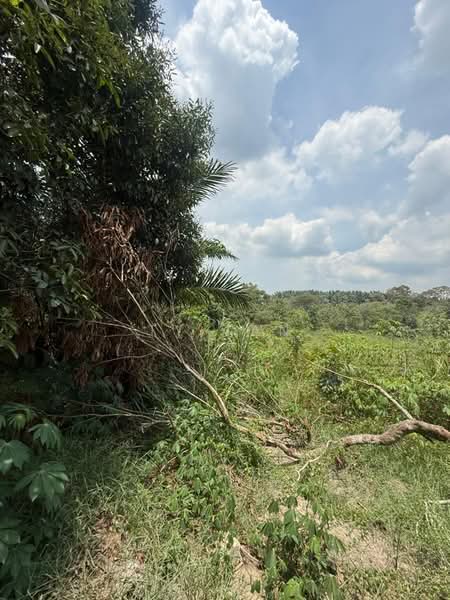 Tanah Pertanian untuk Dijual di FELDA Sungai Tiram (Ulu Tiram) - Alvin Kok - PropertyGuru.com.my