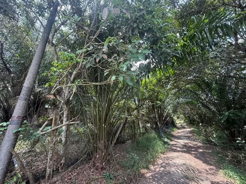 Tanah Pertanian untuk Dijual di FELDA Sungai Tiram (Ulu Tiram) - Alvin Kok - PropertyGuru.com.my