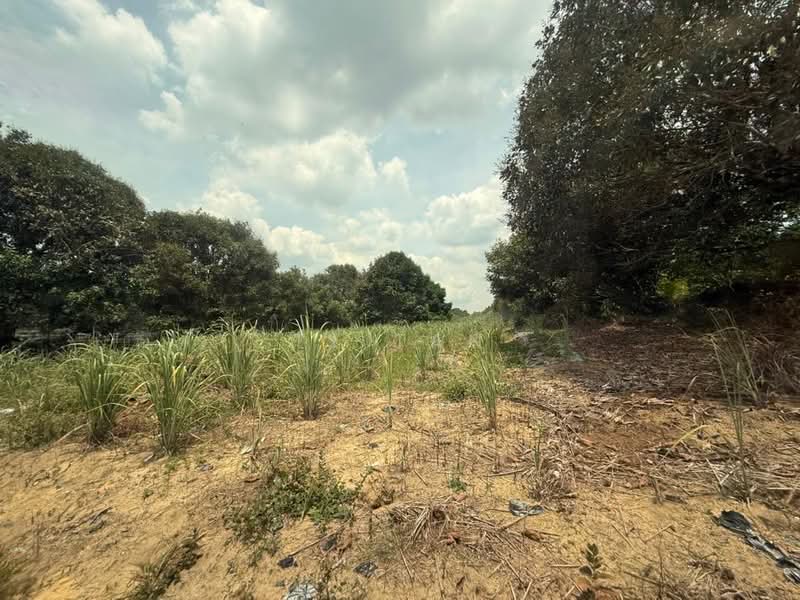 Tanah Pertanian untuk Dijual di FELDA Sungai Tiram (Ulu Tiram) - Alvin Kok - PropertyGuru.com.my