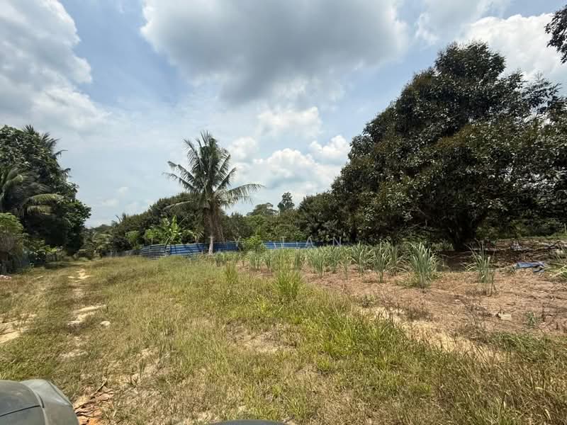 Tanah Pertanian untuk Dijual di FELDA Sungai Tiram (Ulu Tiram) - Alvin Kok - PropertyGuru.com.my