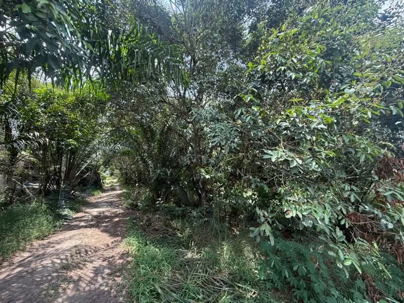 Tanah Pertanian untuk Dijual di FELDA Sungai Tiram (Ulu Tiram) - Alvin Kok - PropertyGuru.com.my