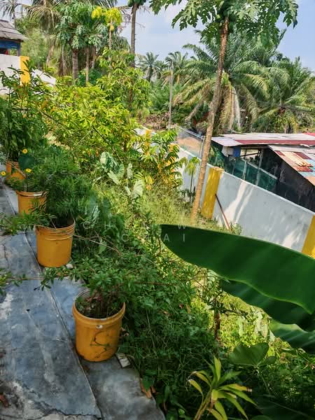 1-storey Terraced House for Rent in Taman Jimah Jaya Site C (Jimah) - Chee Wee Chai - PropertyGuru.com.my
