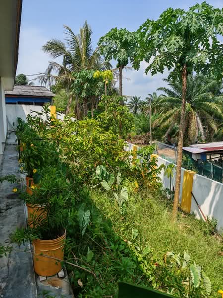 1-storey Terraced House for Rent in Taman Jimah Jaya Site C (Jimah) - Chee Wee Chai - PropertyGuru.com.my
