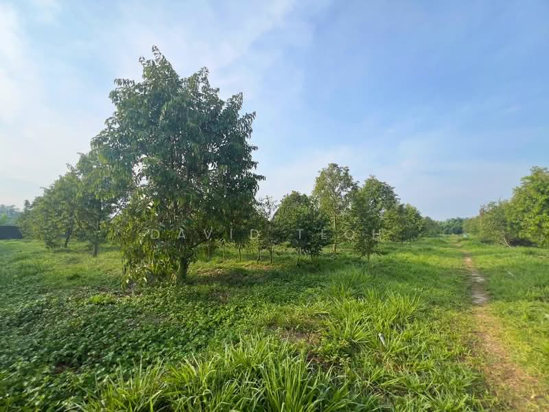 Agricultural Land for Sale in Sungai Jawi (Penang) - David Teoh - Garden - PropertyGuru.com.my
