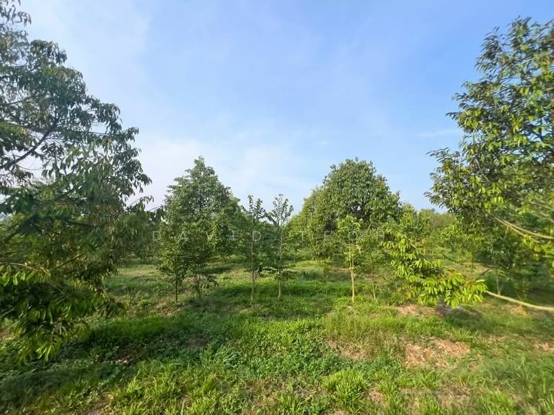 Agricultural Land for Sale in Sungai Jawi (Penang) - David Teoh - Garden - PropertyGuru.com.my