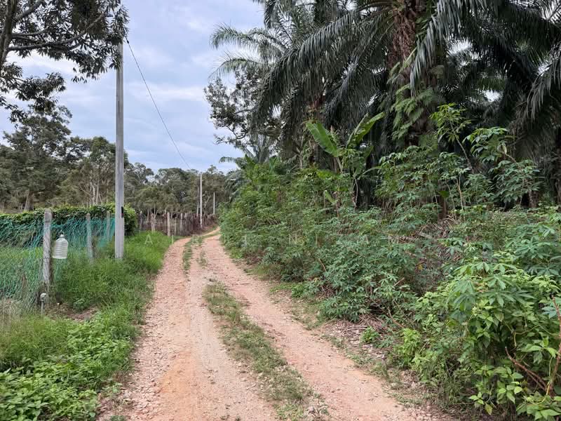 Tanah Pertanian untuk Dijual di Muar (Johor) - AIRUL NIZAM - Exterior - PropertyGuru.com.my