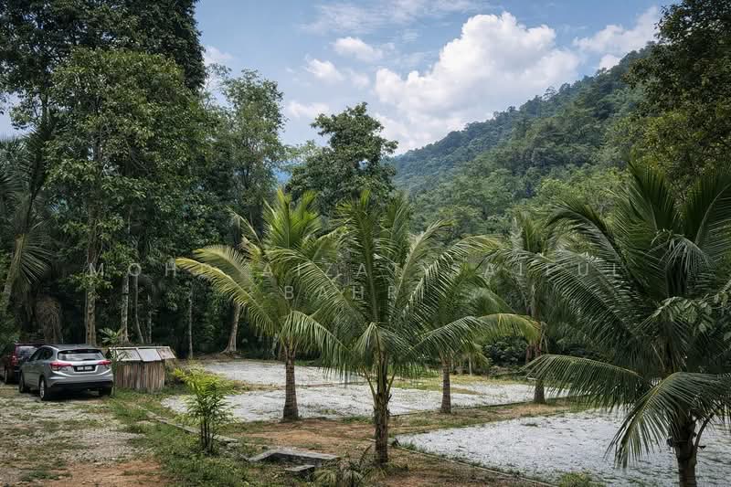 For Sale - Buloh Telor