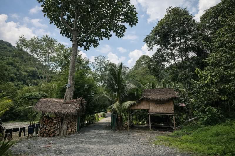 For Sale - Buloh Telor