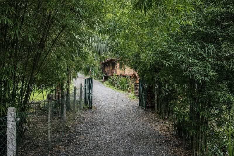 For Sale - Buloh Telor