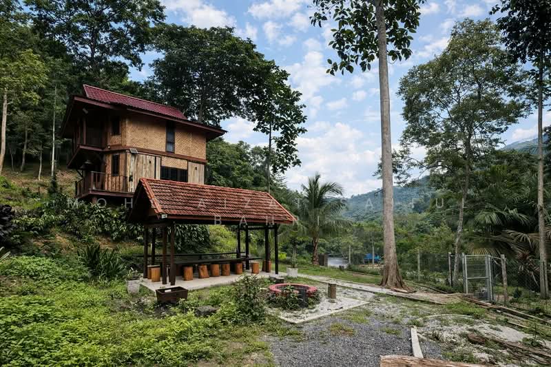 For Sale - Buloh Telor
