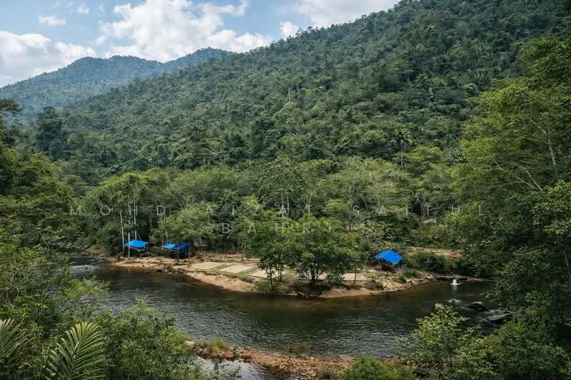 For Sale - Buloh Telor