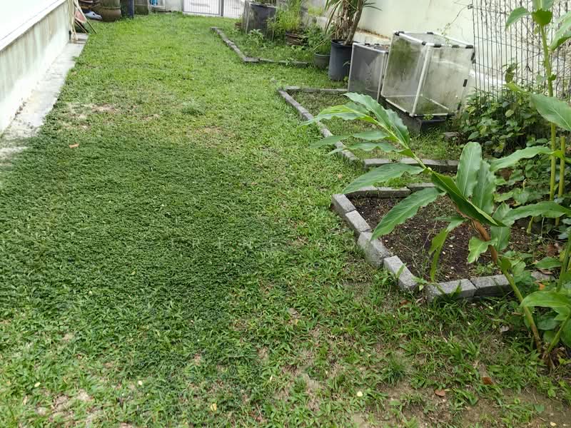 Rumah Banglo untuk Dijual di Pulau Tikus (Penang) - Irene Goh - Garden - PropertyGuru.com.my