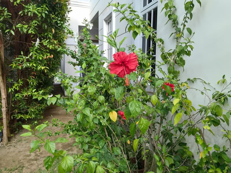 Rumah Banglo untuk Dijual di Pulau Tikus (Penang) - Irene Goh - Exterior - PropertyGuru.com.my