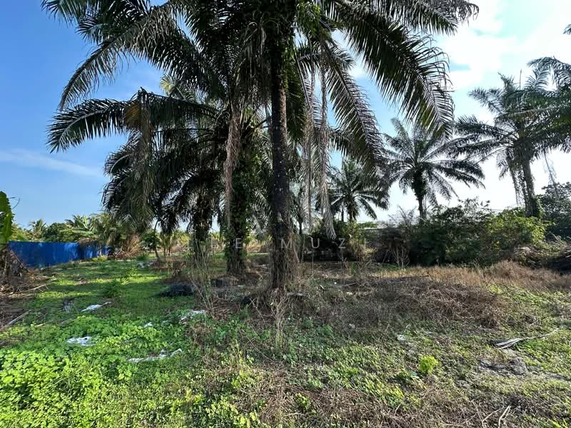 Agricultural Land for Sale in Gopeng (Perak) - Lee Muzi - Exterior - PropertyGuru.com.my