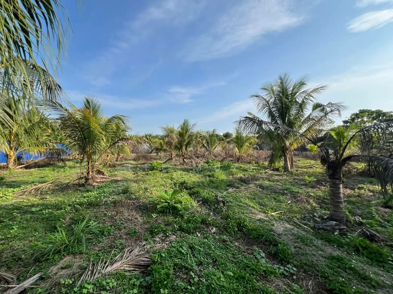 Agricultural Land for Sale in Gopeng (Perak) - Lee Muzi - PropertyGuru.com.my