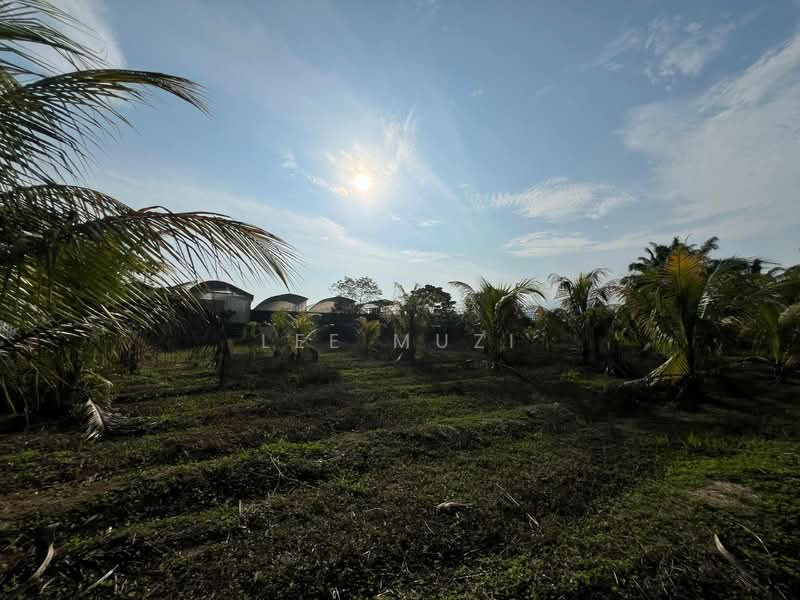 Agricultural Land for Sale in Gopeng (Perak) - Lee Muzi - PropertyGuru.com.my